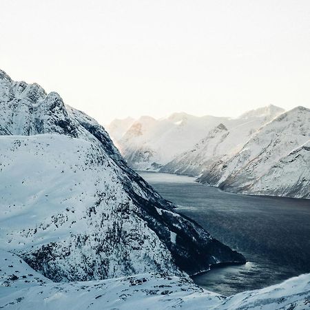 Unik Leilighet I Alesund Sentrum المظهر الخارجي الصورة